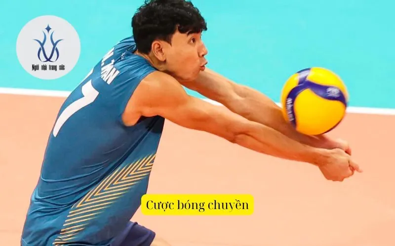 Cược bóng chuyền