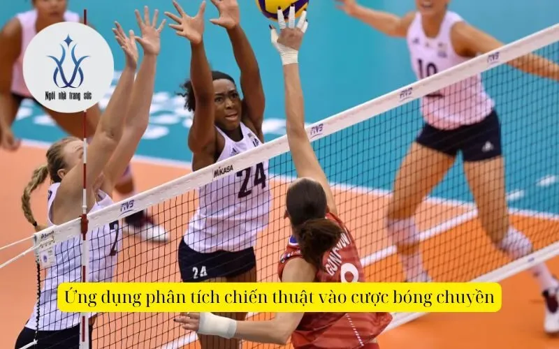 Ứng dụng phân tích chiến thuật vào cược bóng chuyền