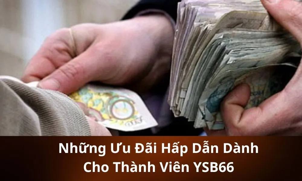 Những Ưu Đãi Hấp Dẫn Dành Cho Thành Viên YSB66