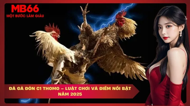 Đá Gà Đòn C1 Thomo – Luật Chơi Và Điểm Nổi Bật Năm 2025