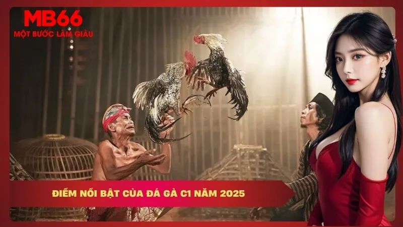 Điểm Nổi Bật Của Đá Gà C1 Năm 2025