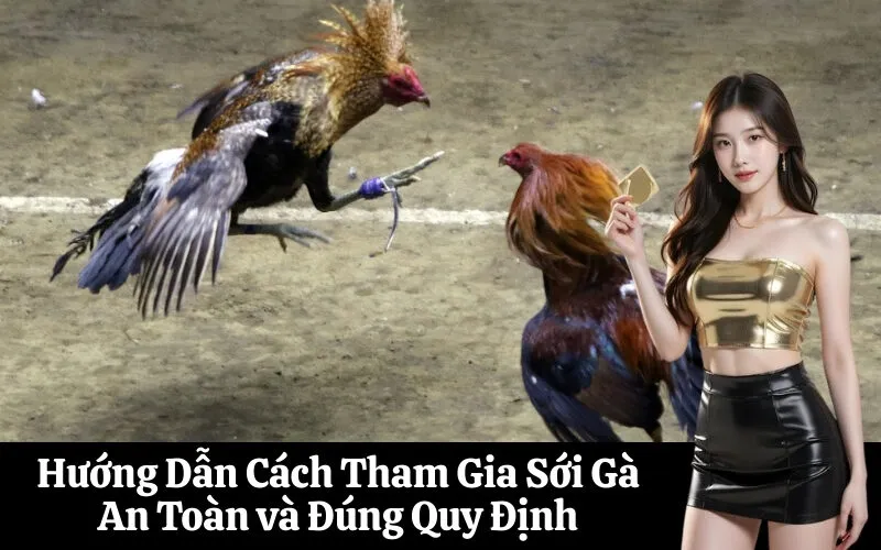 Hướng Dẫn Cách Tham Gia Sới Gà An Toàn và Đúng Quy Định