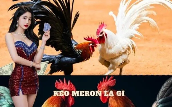 Kèo Meron là gì