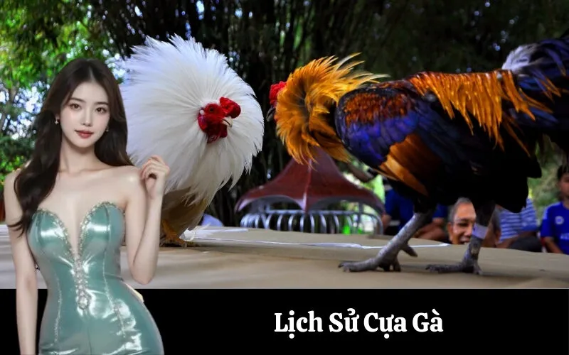 Lịch Sử Cựa Gà